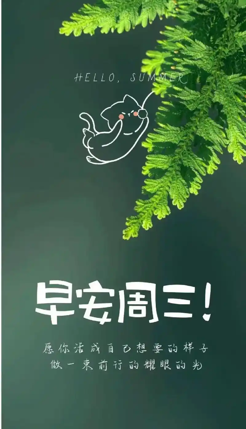 周三愉快早安  日子过的是心情 生活要的是质量 生活上最幸 - 抖音