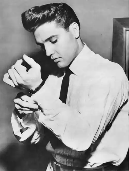 四十二岁,猫王死了,死在浴室里