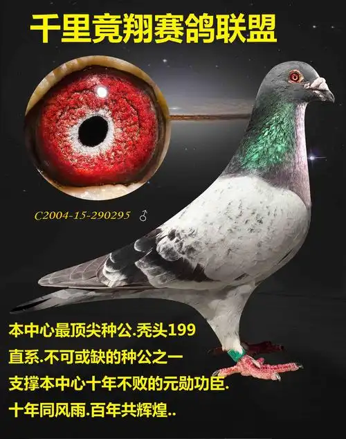 >> 查看拍卖商品