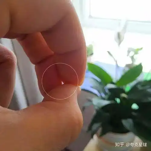 亲子实验透过小孔看世界小孔成像