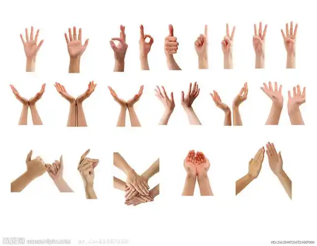 手势集锦