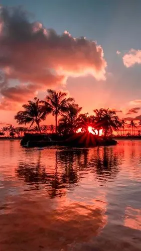 675_1200竖版 竖屏