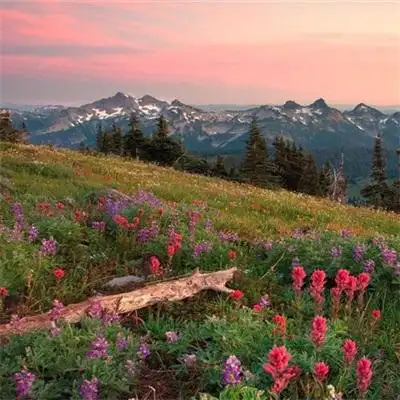 2022年最火爆的风景头像图片治愈系风景唯美头像高清图片大全