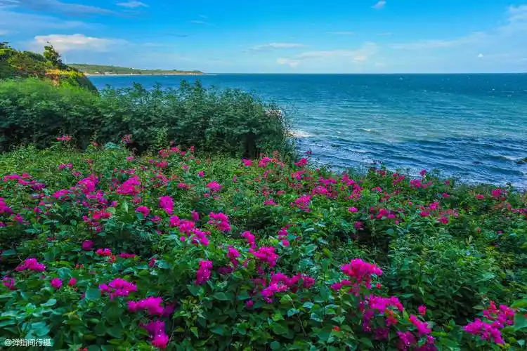 探索"中国十大最美海岛"之一,火山遗址风光奇美,岛上种满香蕉