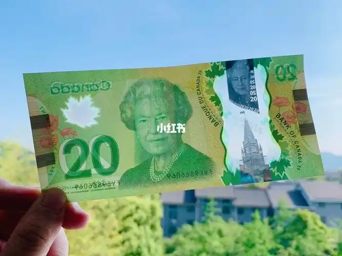 加拿大#加拿大货币#伊丽莎白女王不知道什么时候可以全球畅行,但蚊乔