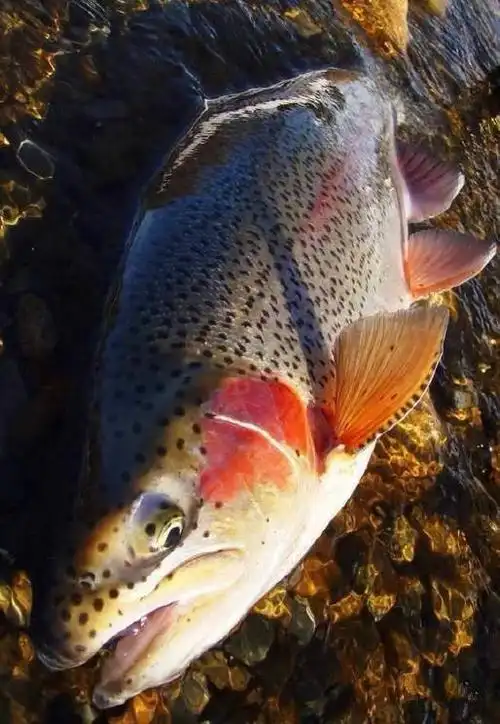 文昌海鲜知识考试!看你是不是识货的文昌人!