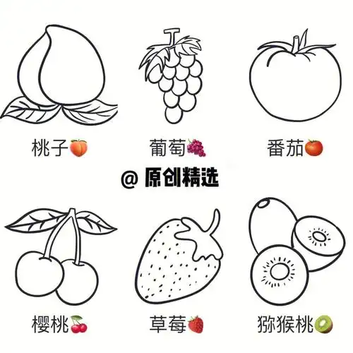 水果简笔画概括涂色控笔练习儿童绘画