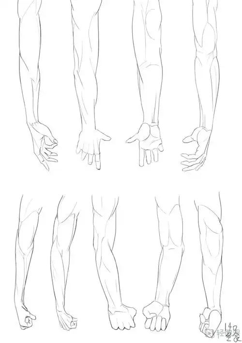 作业:如何学动漫插画之手臂的画法与训练技巧 - 140-鱼食 - 轻微课