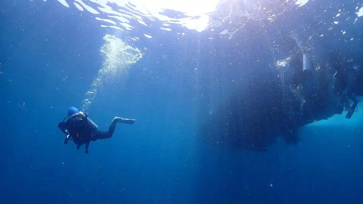 为什么喜欢水肺潜水?