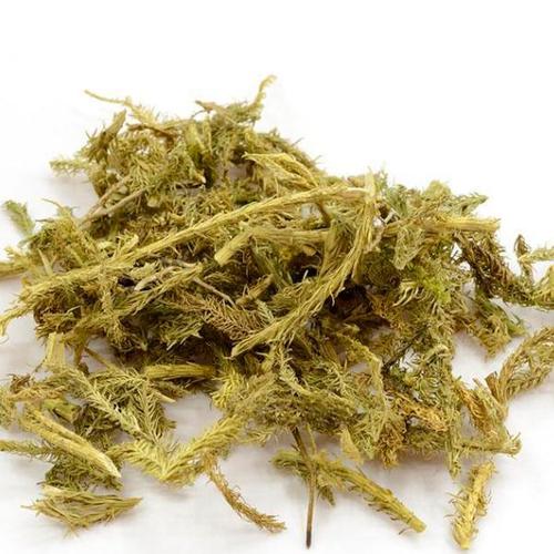 伸筋草5斤包邮中药材初级农产品舒筋草狮子尾伸筋藤500g克