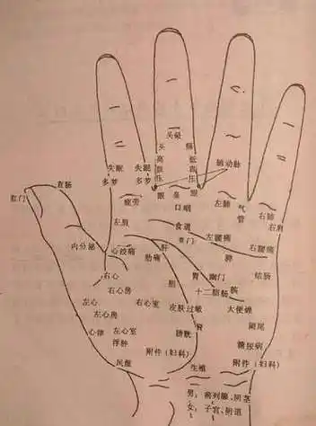 手掌有痣的男人(手掌有痣的男人图) - 网络编辑之家