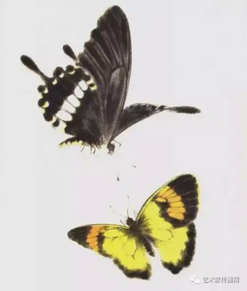 画蝶三剑客的工笔蝴蝶欣赏