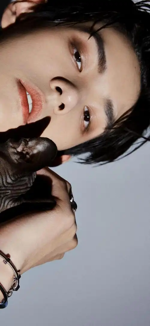 田鸿杰帅气男明星手机壁纸