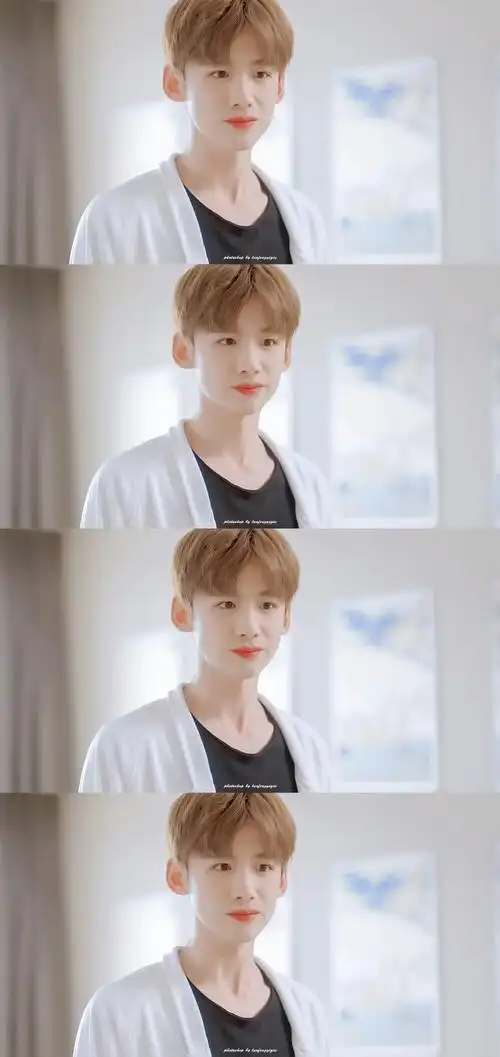 白敬亭 陆之昂 夏至未至