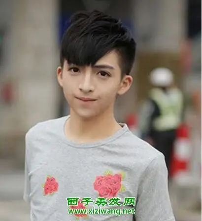 好看一边倒男生发型 是不是型男味道十足