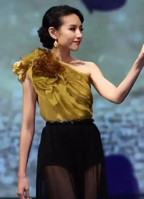 董洁穿搭解析(一)与她有过"同样低谷"的张柏芝,早年也因照片事件备受