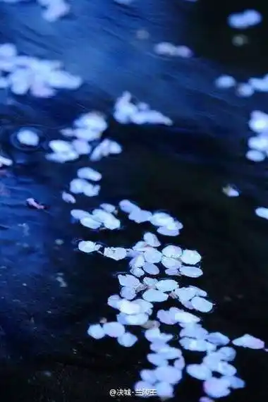 古风落花有意流水无情