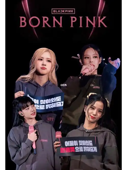 自制blackpink演唱会拼贴壁纸9494