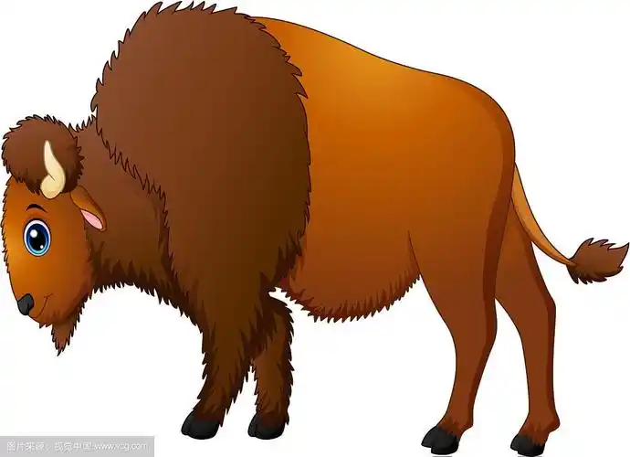 卡通可爱的野牛