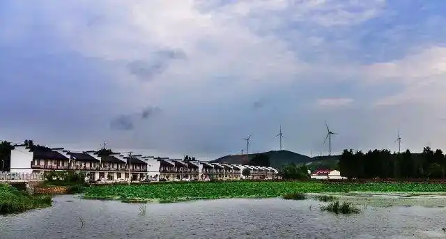 人民日报权威发布利国柳新柳泉大许传疯了