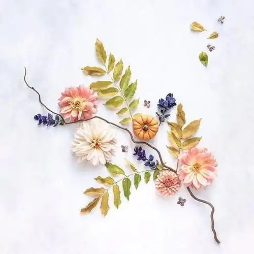 2020触动心灵的唯美文艺说说读一遍就念念不忘