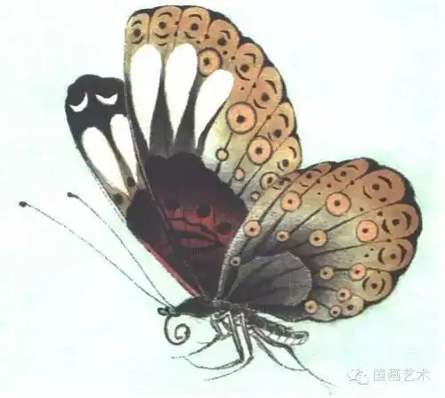 图文教程李晓明工笔蝴蝶设色步骤示范一