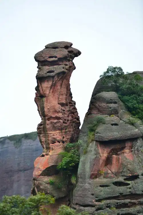 江西上饶龟峰:有一种绿色叫掩石无声