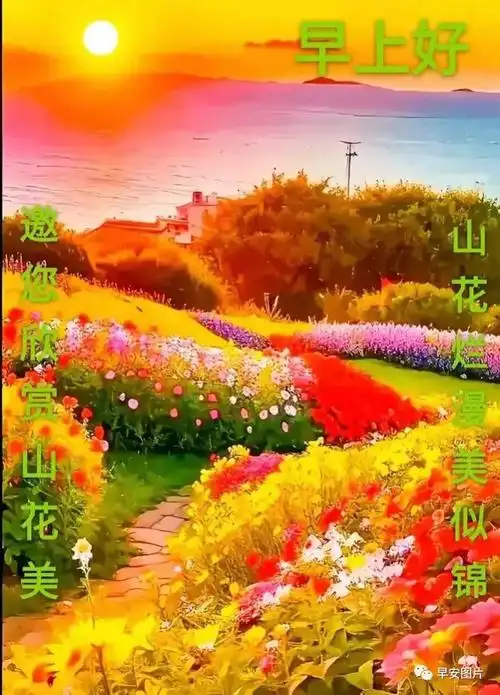 漂亮好看的早上好问候美图带字,早晨好幸福暖心的问候图片祝福语