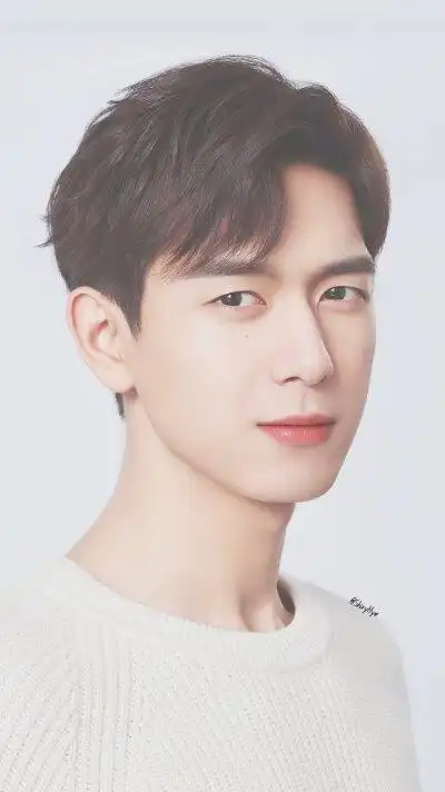 南方有乔木李现.