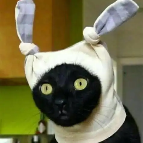 沙雕动物头像逗比 动物头像图片大全 -【爱个性】