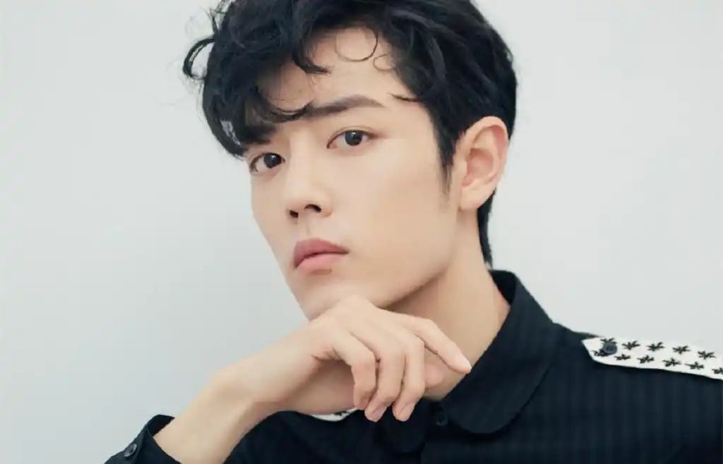 最新肖战帅气壁纸_陈情令演唱会肖战