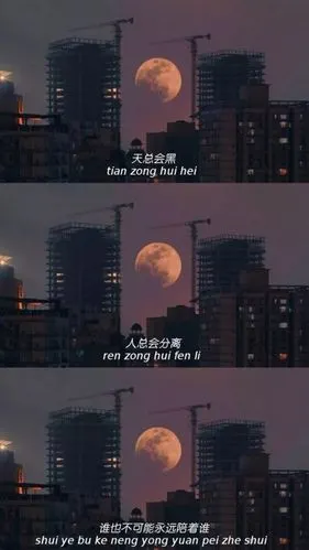 猫和老鼠三格文字 - 堆糖,美图壁纸兴趣社区