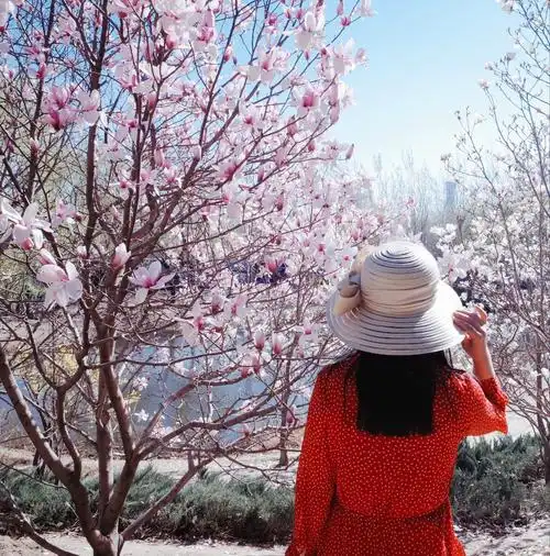 用了四年时间记录花卉与帽子背影的照片20172020