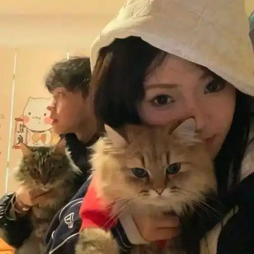 情头好好生活慢慢相遇