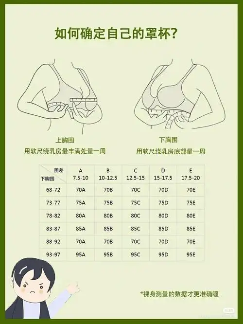 a/b/c/d表示的胸部隆起的高度.