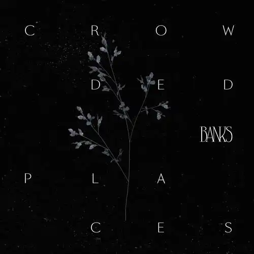 6月23日 23:07   关注  音乐封面 收藏