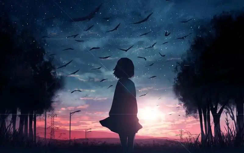 电脑壁纸 动漫卡通 动漫人物 动漫世界中的孤独背影