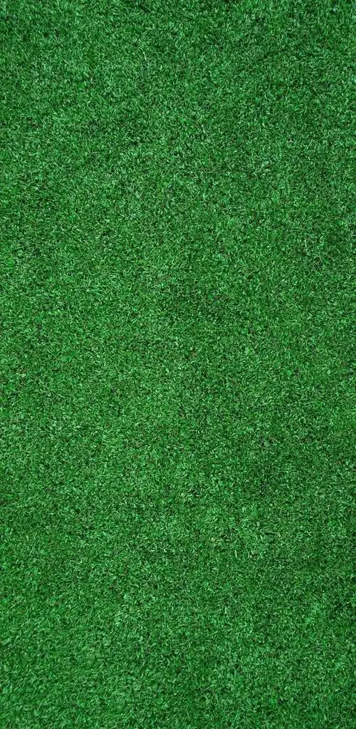 壁纸推荐绿色护眼绿意盎然清新唯美高清无水印