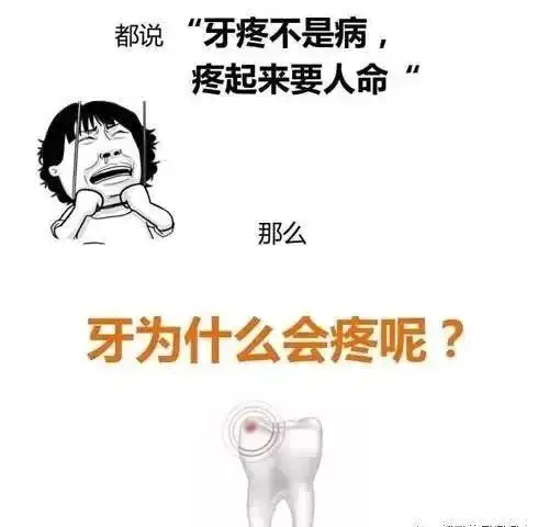 疼起来要人命,牙疼快速止疼偏方_牙痛_地方_治疗