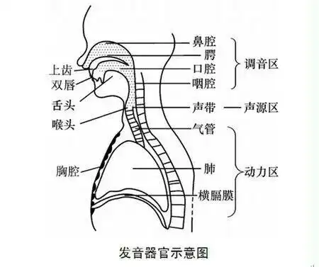什么是唱歌的共鸣?