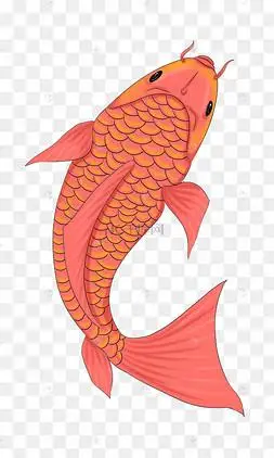 矢量图鱼红色