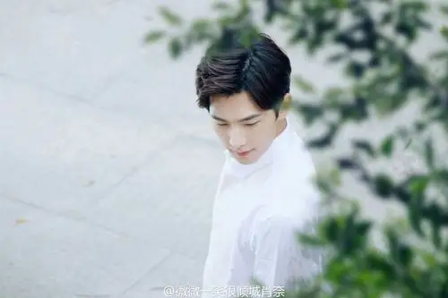 杨洋《微微一笑很倾城》肖奈 肖大神