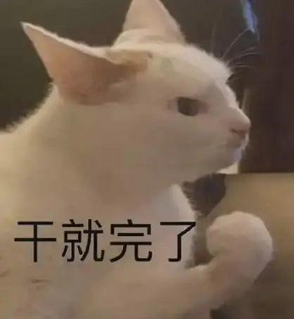干就完了 - 沙雕猫咪表情包_斗图表情