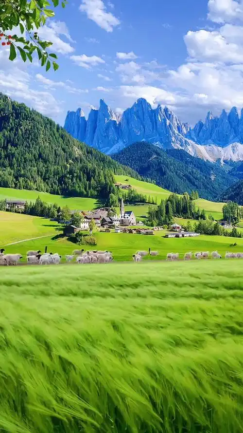 蓝天白云绿草地  #草原 #治愈系风景  #动态壁纸