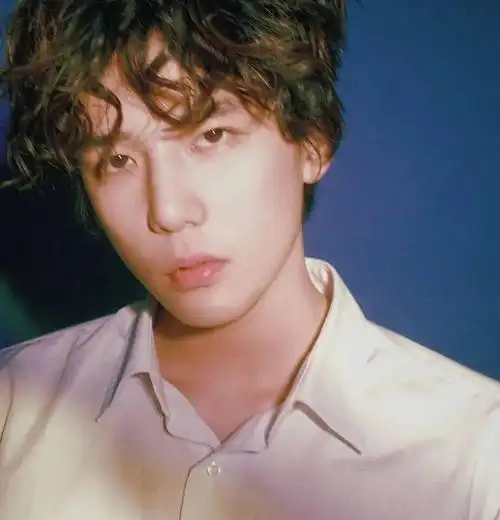 微信头像王安宇