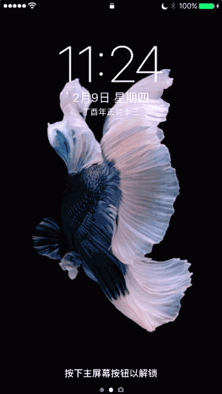 480_850竖版 竖屏gif 动态图 动图