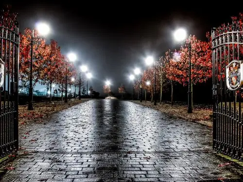 英格兰,夜晚,树木,路,门,灯 壁纸