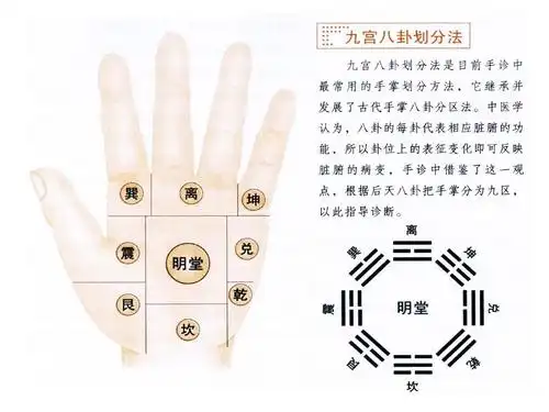 九宫八卦划分法ppt