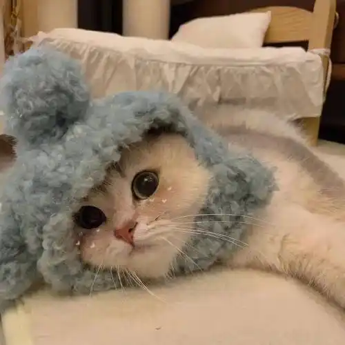 头像 | 酷酷拽拽微信头像