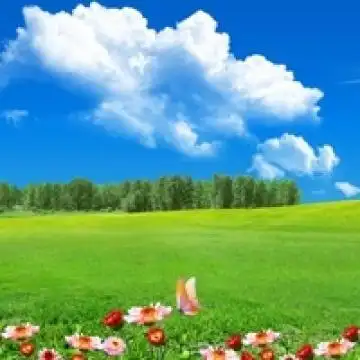 蓝天白云绿草地,风景头像图片-回车桌面